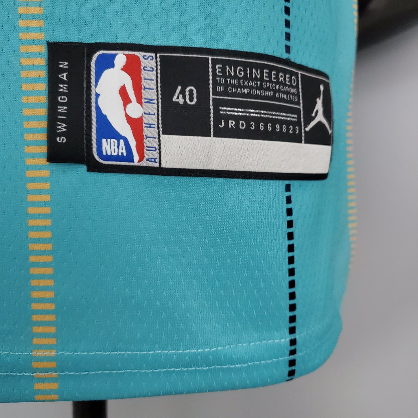 Nba Charlotte Hornets sky