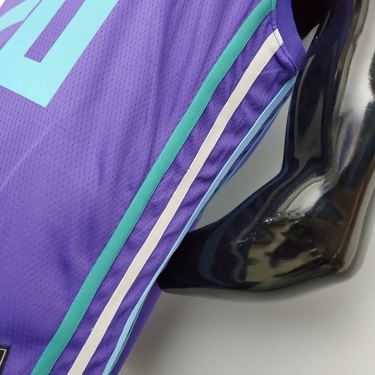 Nba Charlotte Hornets purple