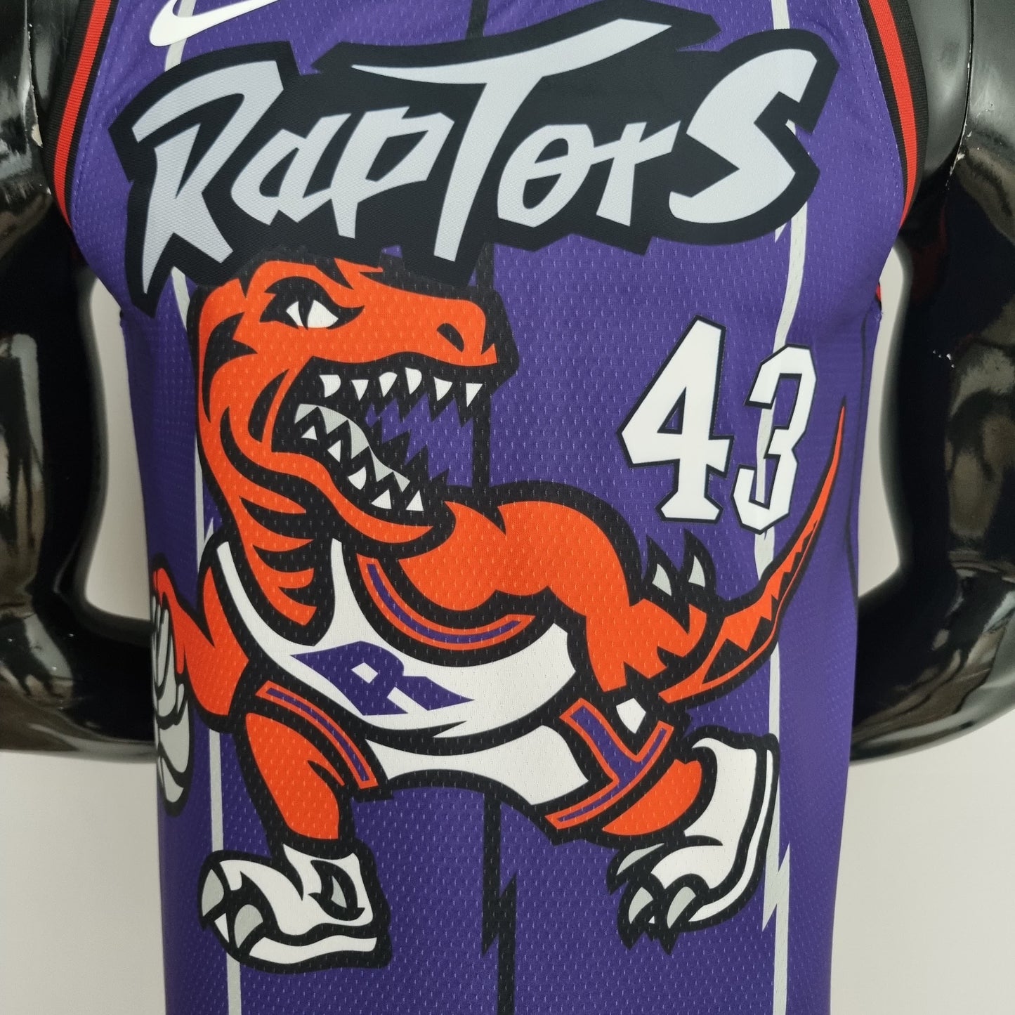 Nba Toronto Raptors home