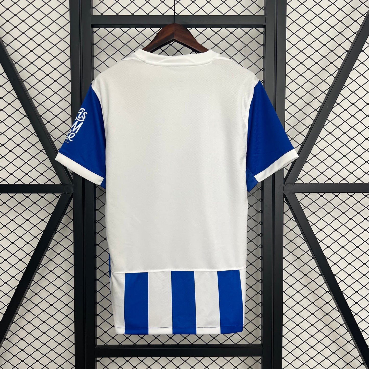Brighton & Hove Albion Football Club home 2025-2026