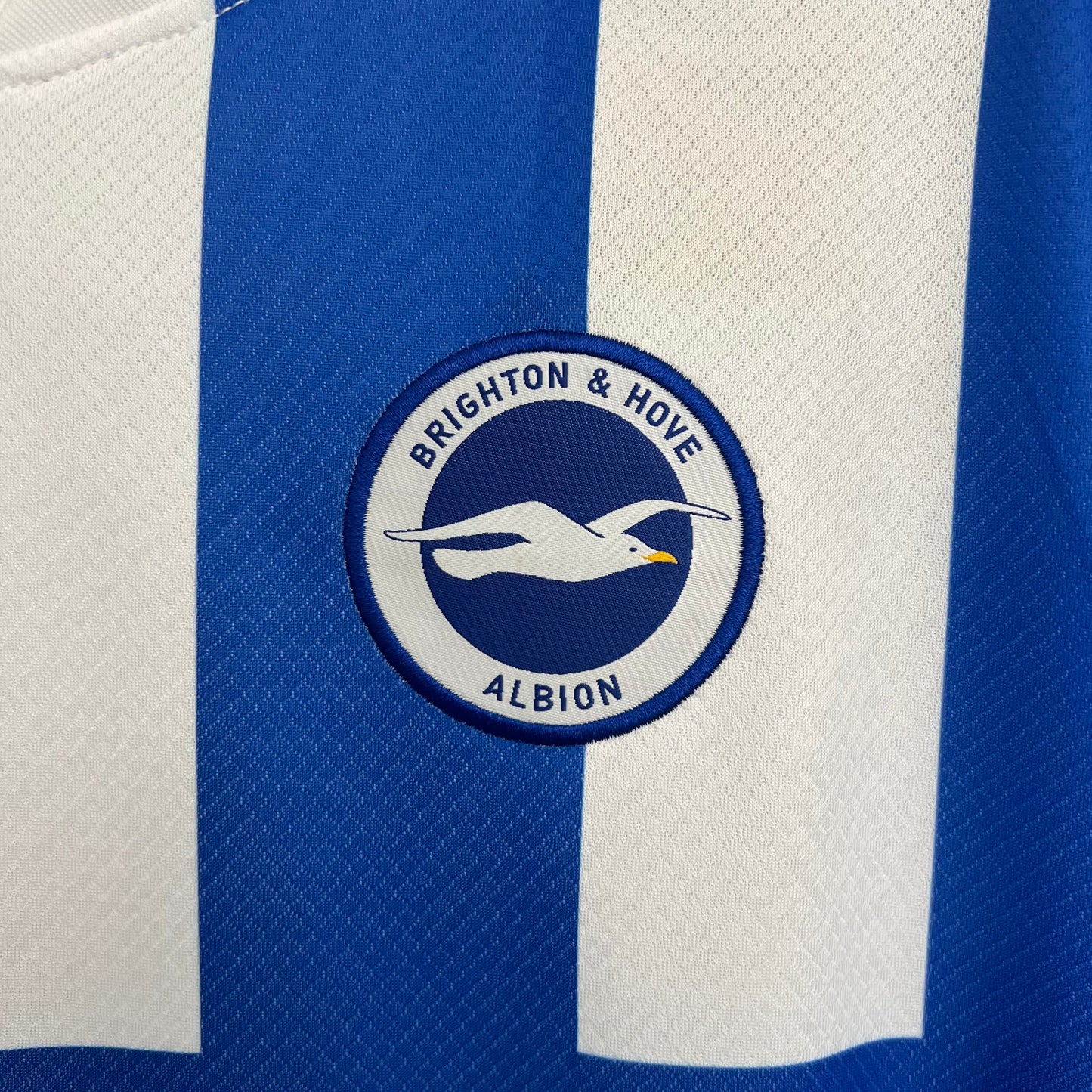 Brighton & Hove Albion Football Club home 2025-2026