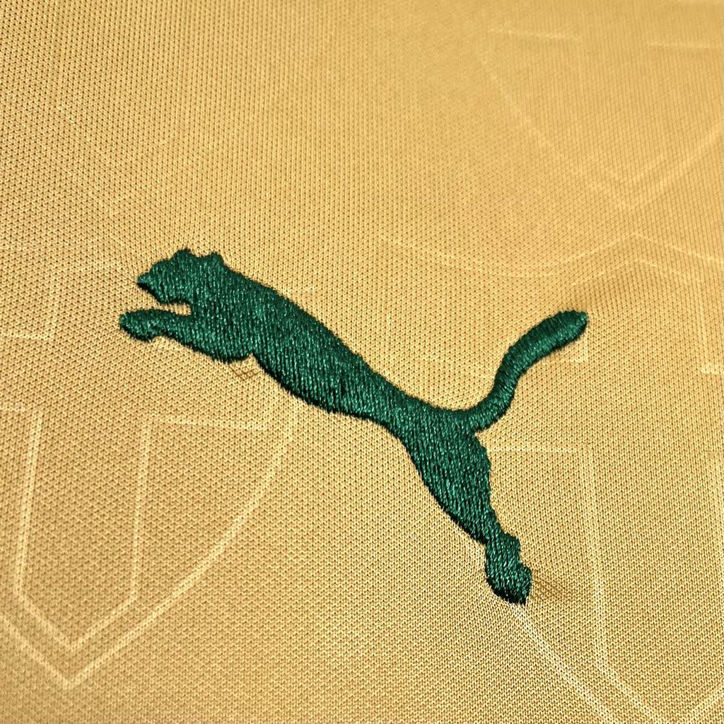 Palmeiras 3rd 2024-2025
