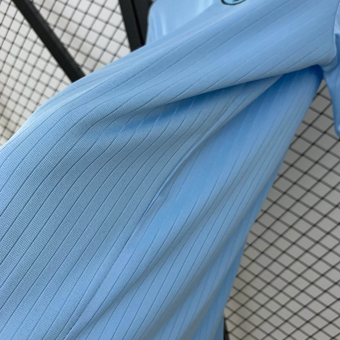 Germany special light blu 2025