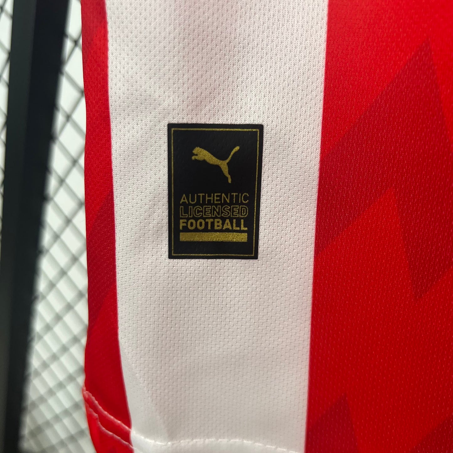 PSV home 2025-2026