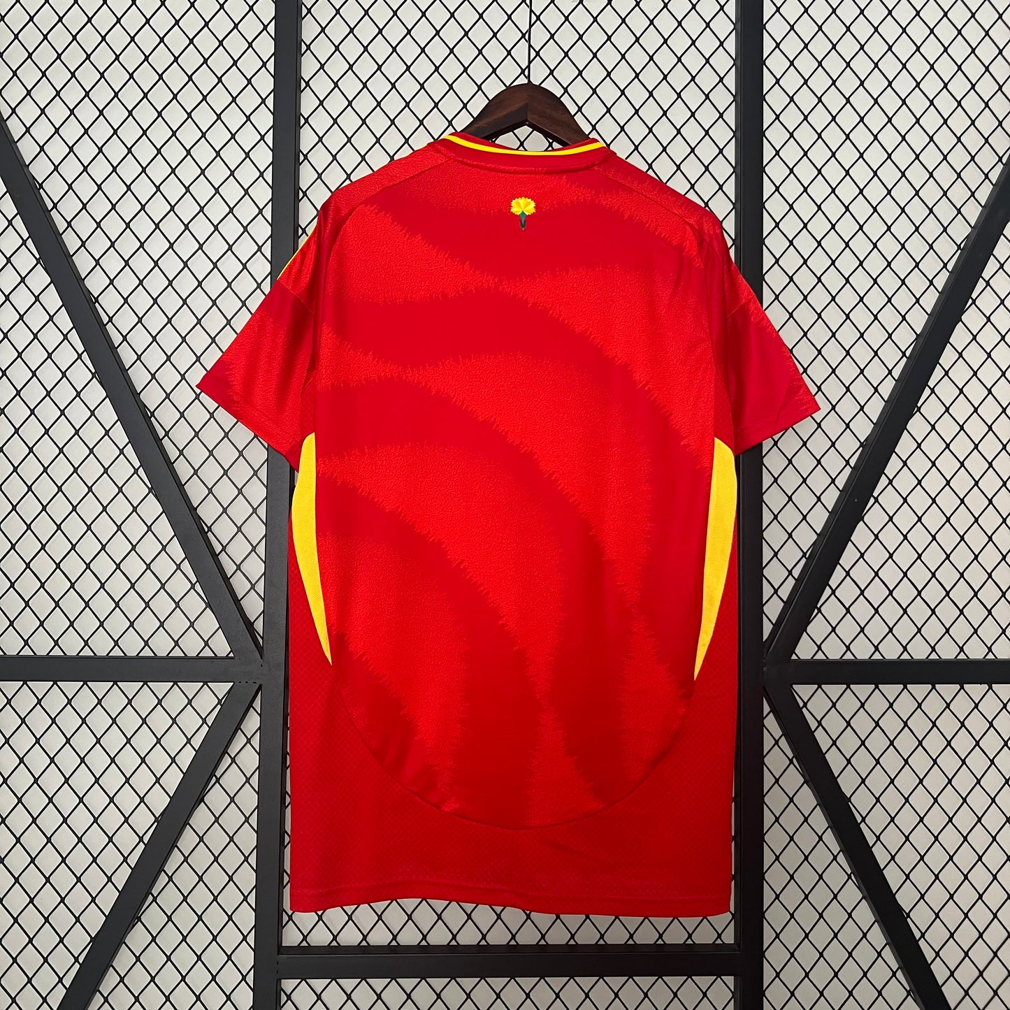 Spain home 2024