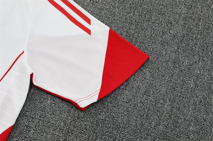 Training kit Ajax 25/26