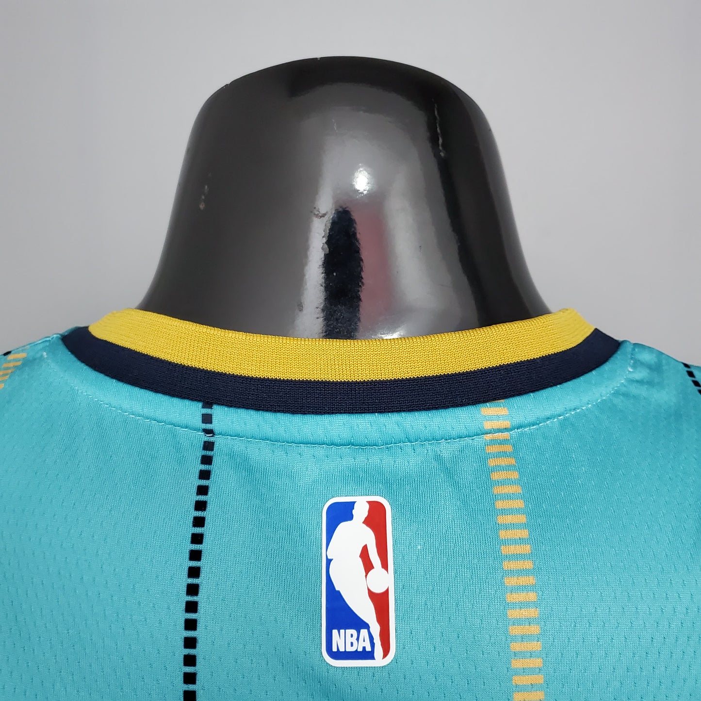 Nba Charlotte Hornets sky