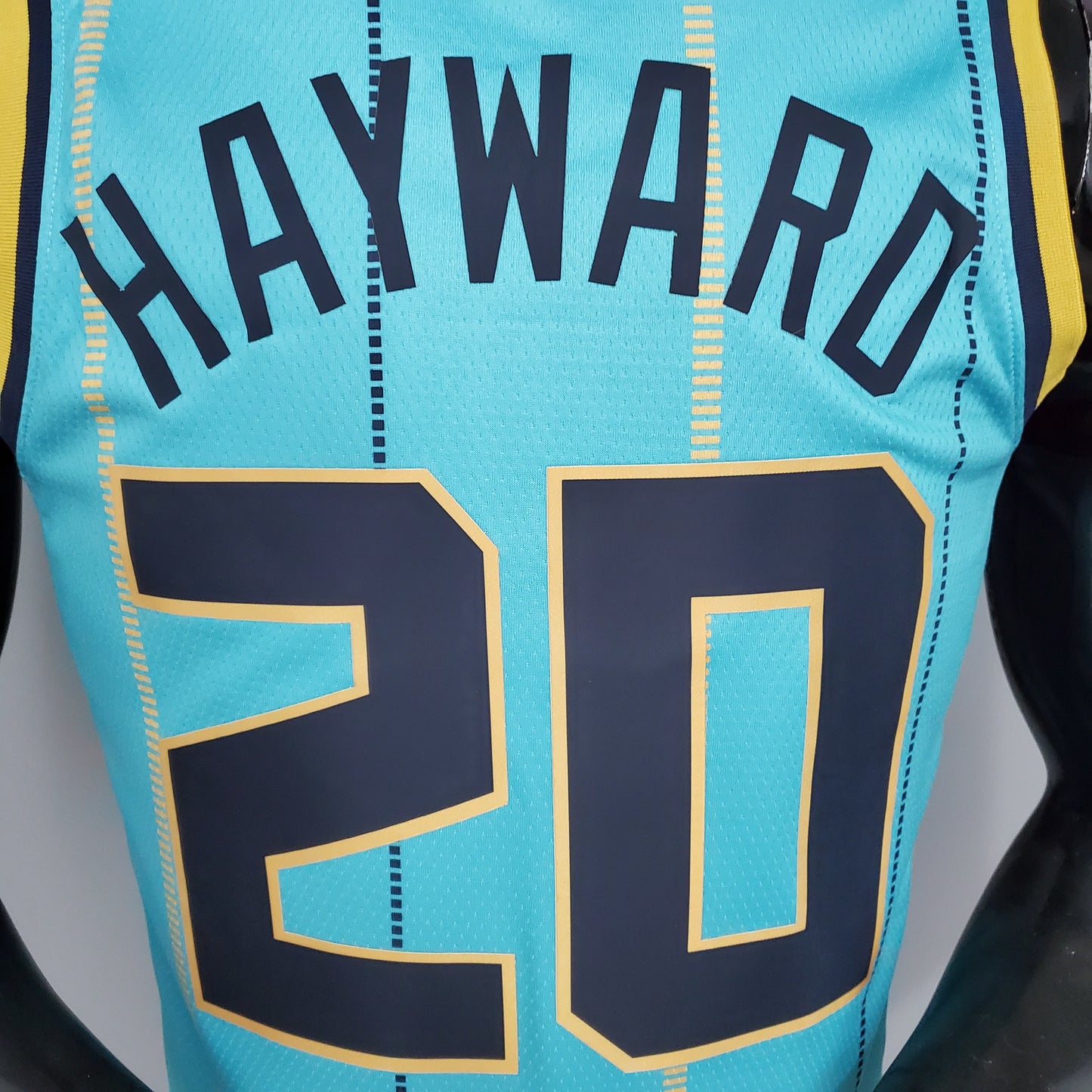 Nba Charlotte Hornets sky