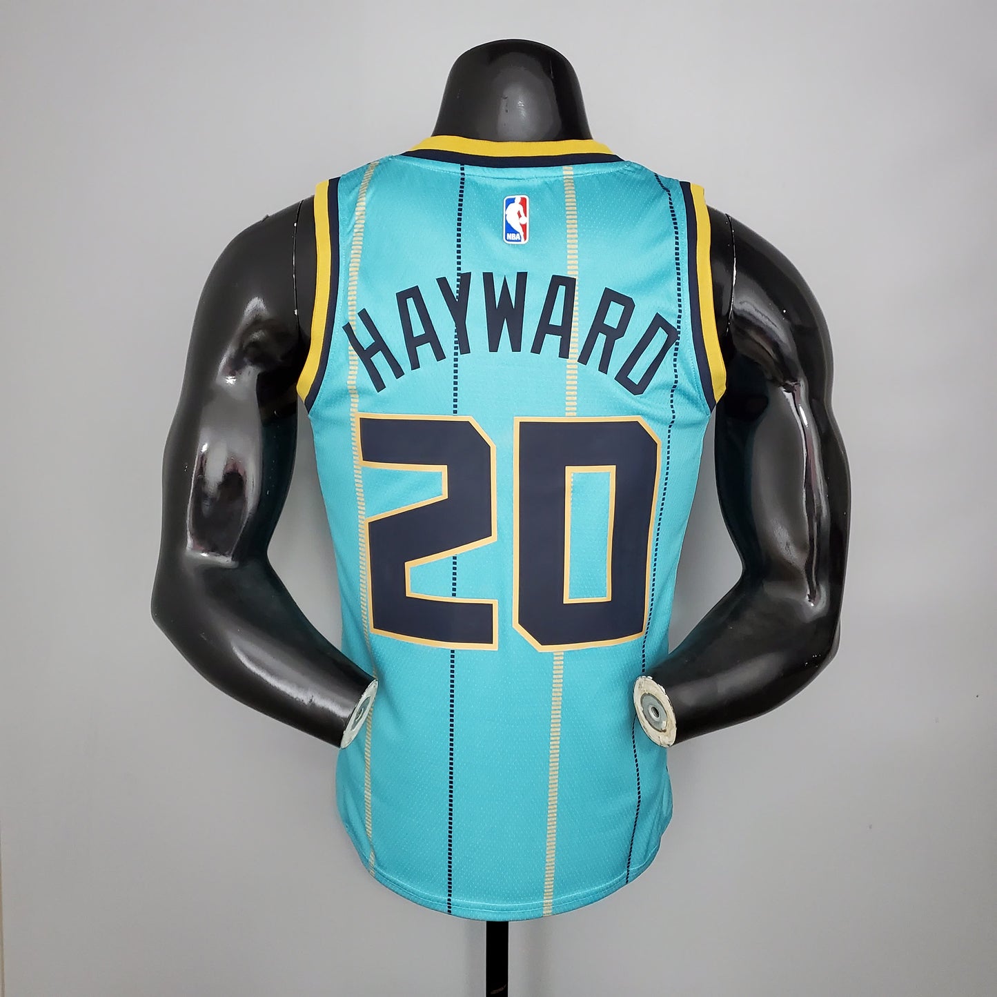 Nba Charlotte Hornets sky