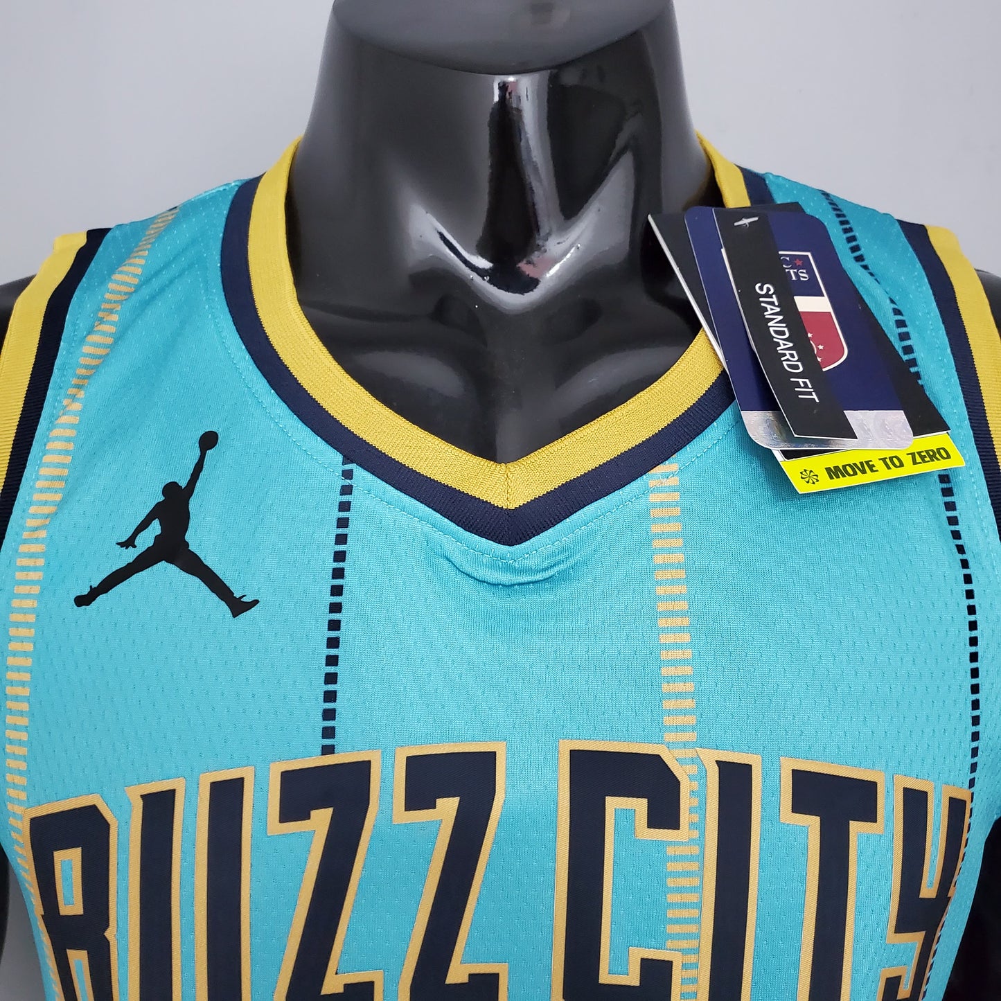 Nba Charlotte Hornets sky