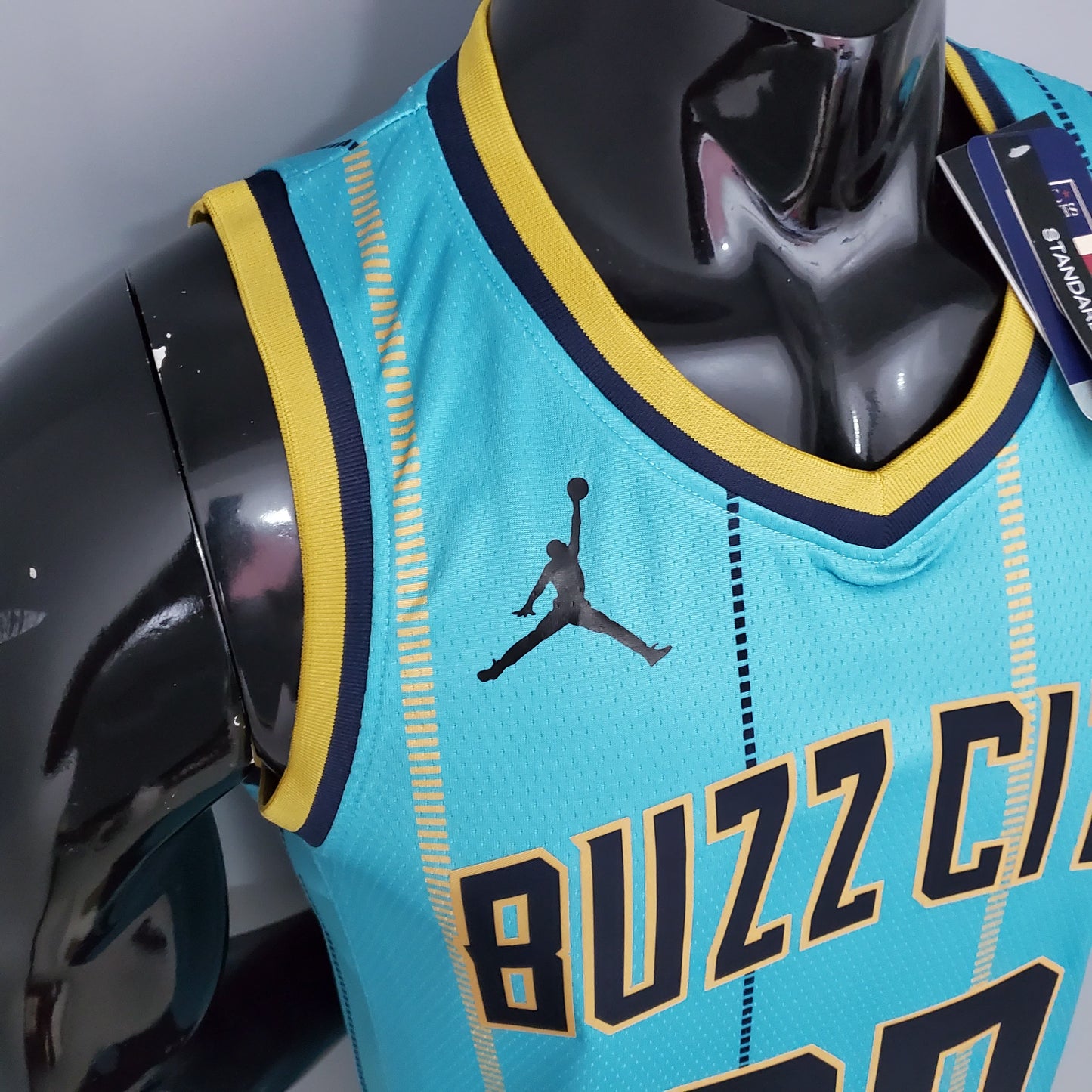 Nba Charlotte Hornets sky