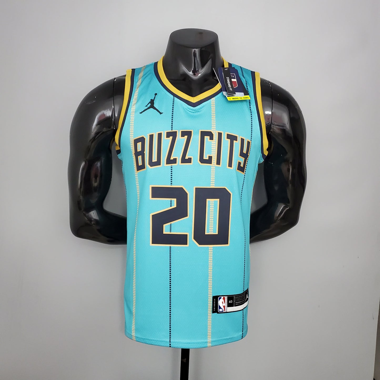 Nba Charlotte Hornets sky