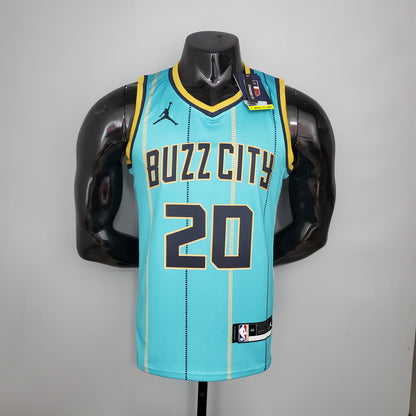 Nba Charlotte Hornets sky