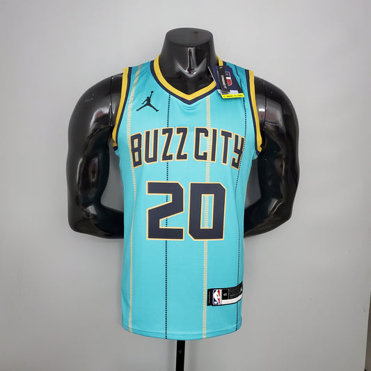 Nba Charlotte Hornets sky