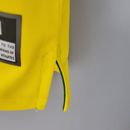 Brazil Retró 1998 home