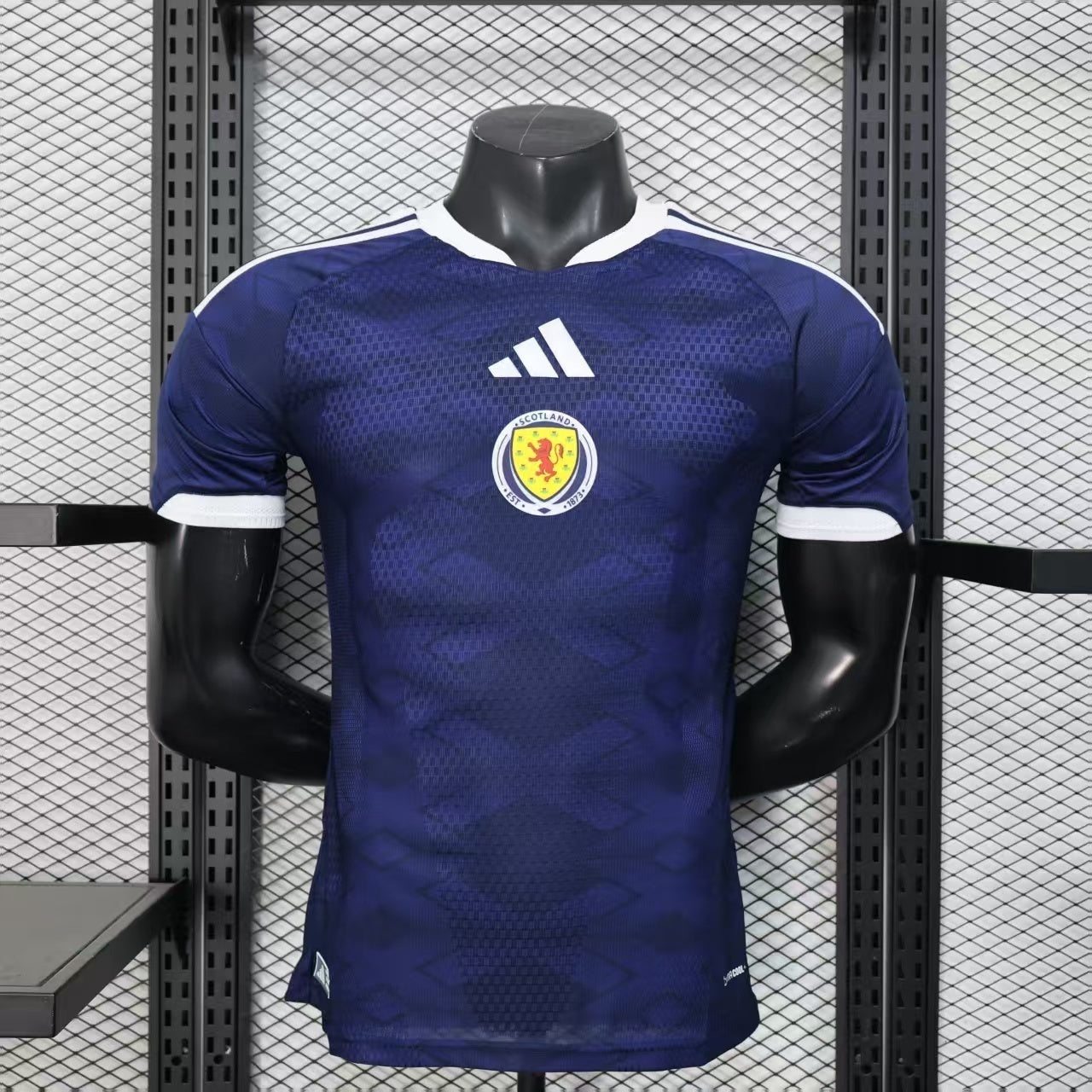 Scotland 2026 Home