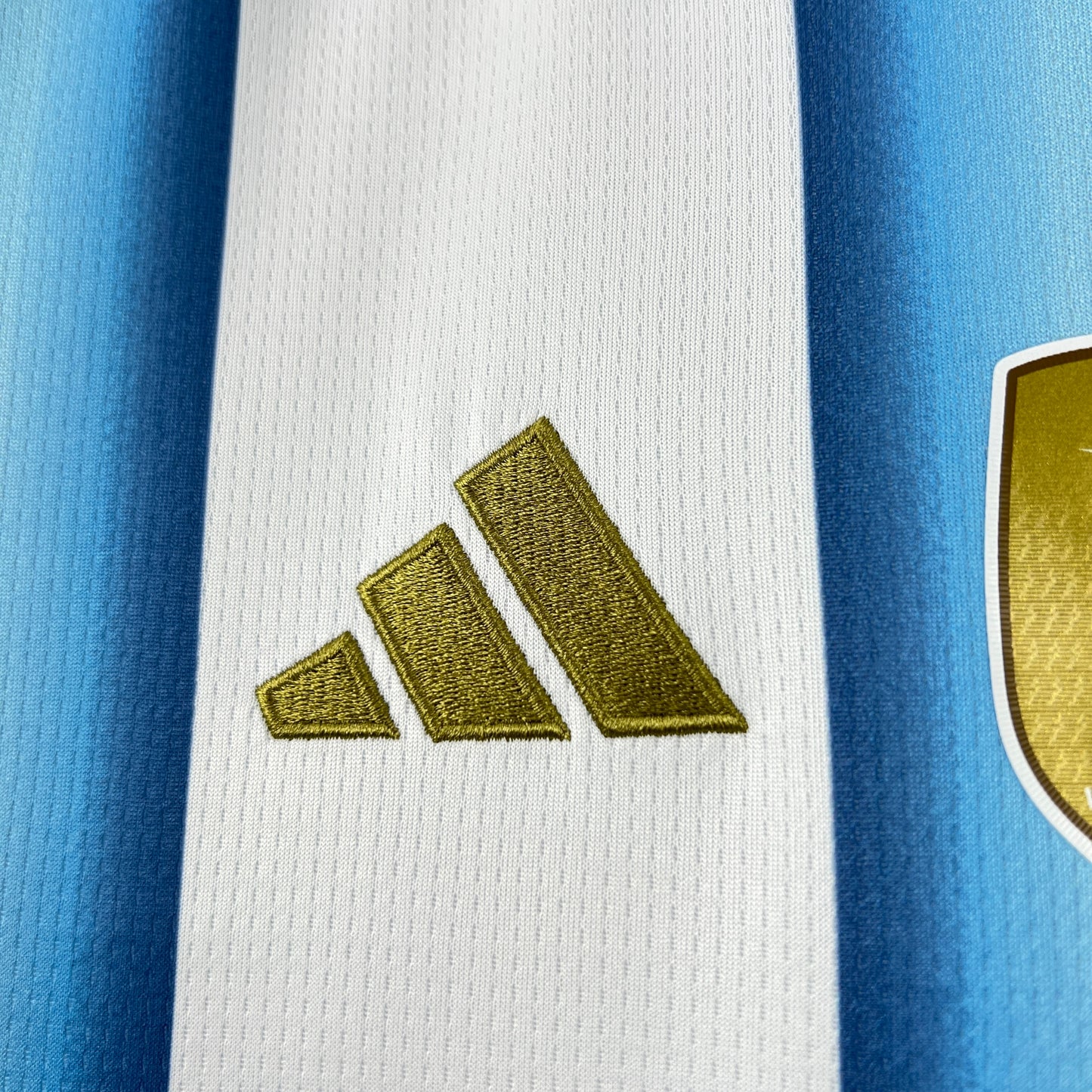 Argentina 2026 home