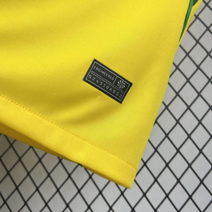 Brazil 2026 home