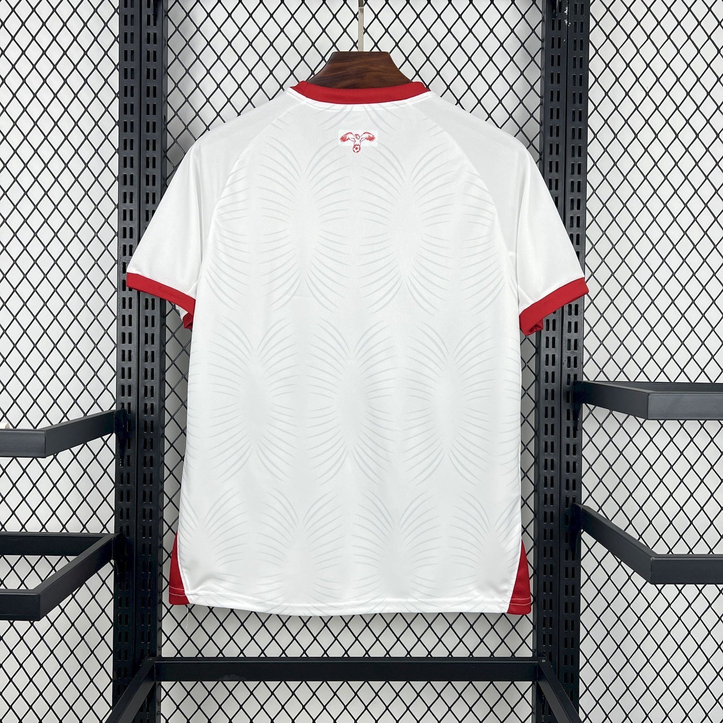 Jordan 2026 Home