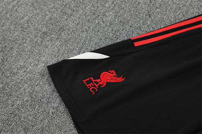 Training kit Liverpool 25/26