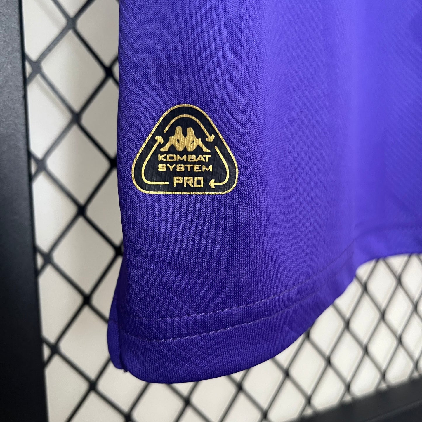 Fiorentina 2024-2025