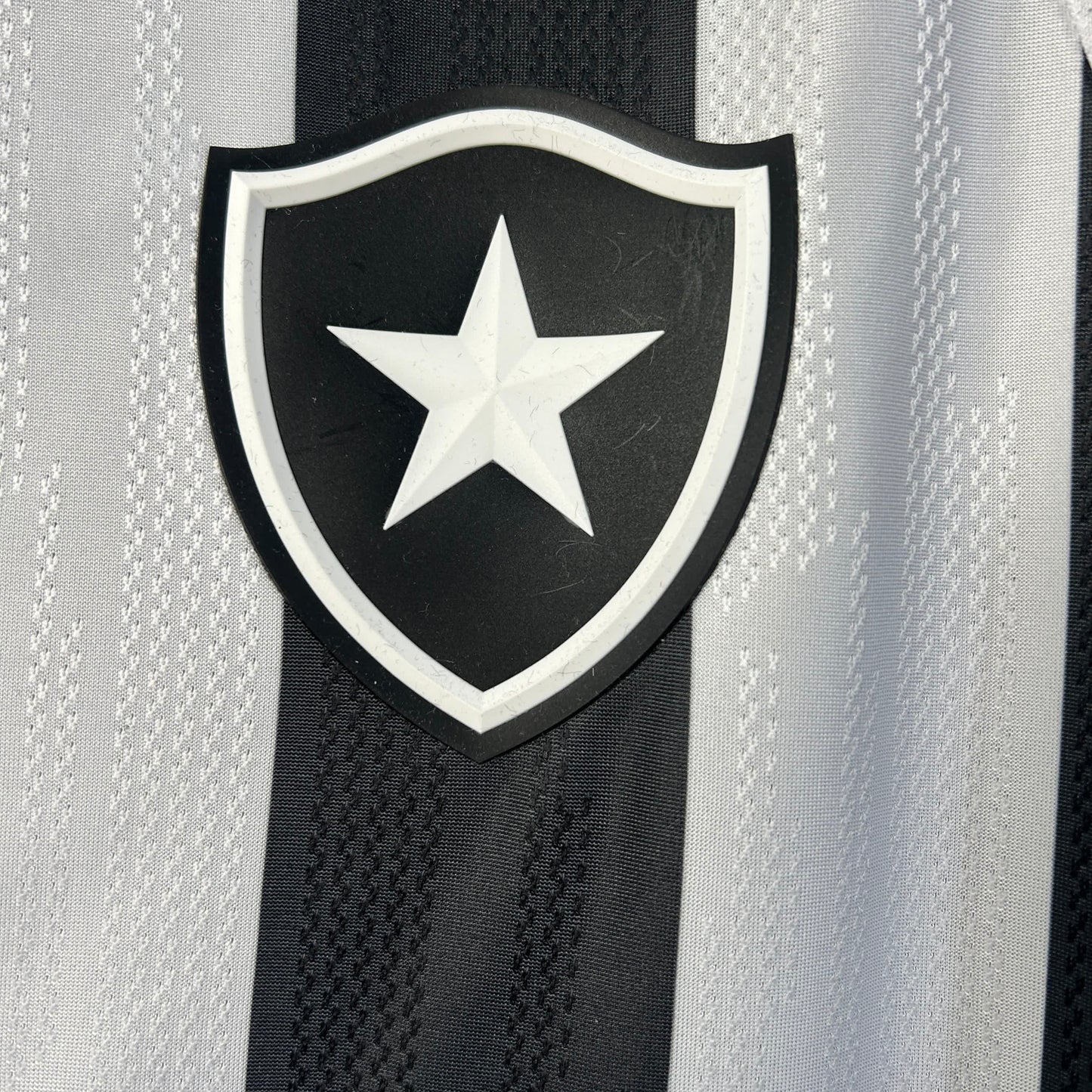Botafogo 2025-2026