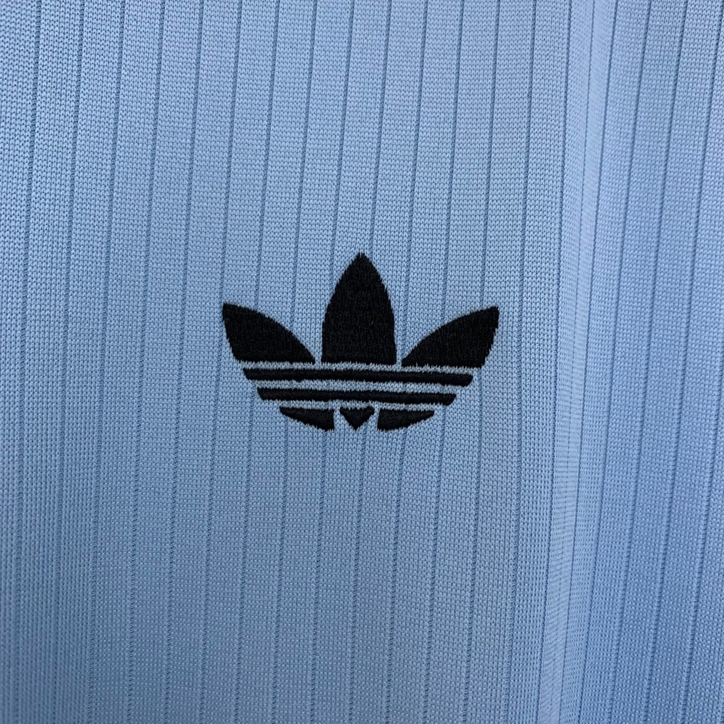 Germany special light blu 2025