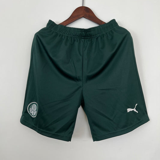 Palmeiras green shorts