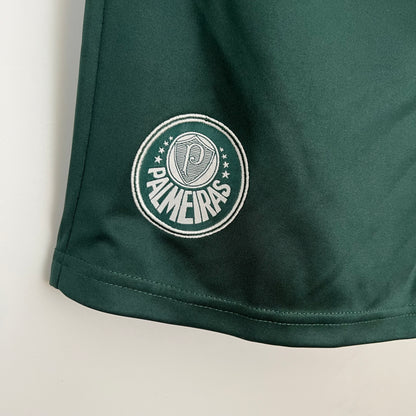 Palmeiras green shorts