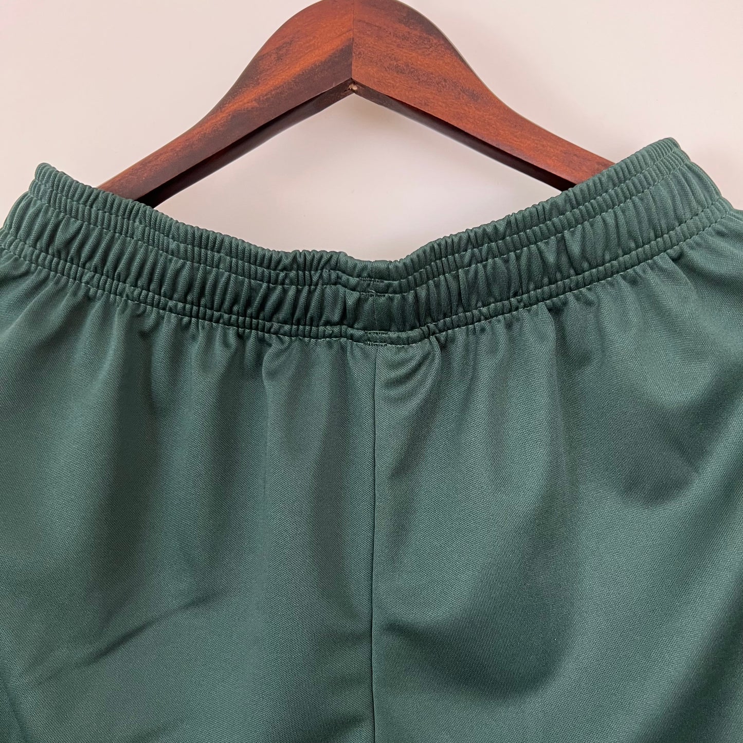 Palmeiras green shorts
