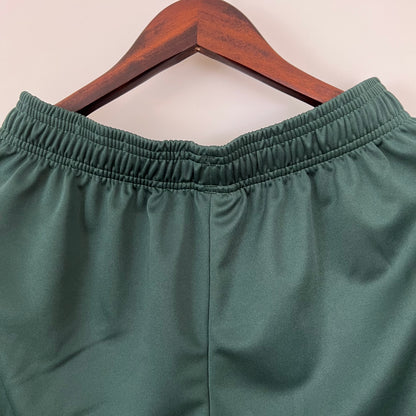 Palmeiras green shorts