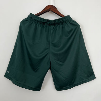 Palmeiras green shorts