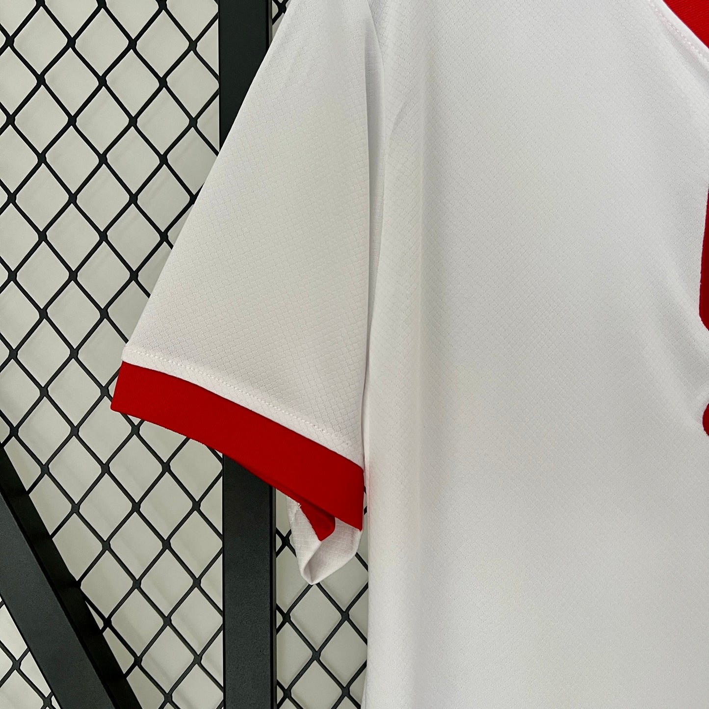 Poland home 2024