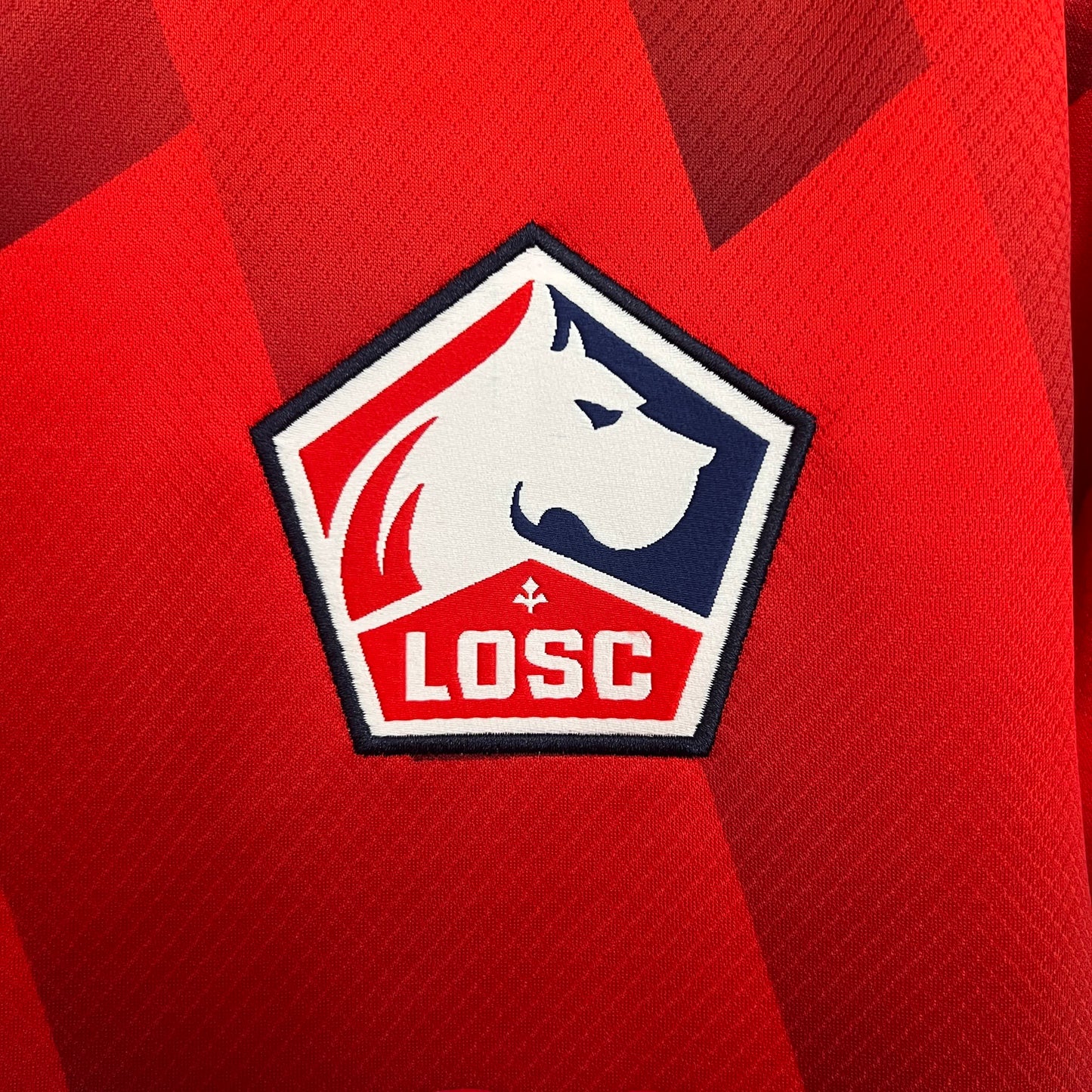 Lille home 2025-2026