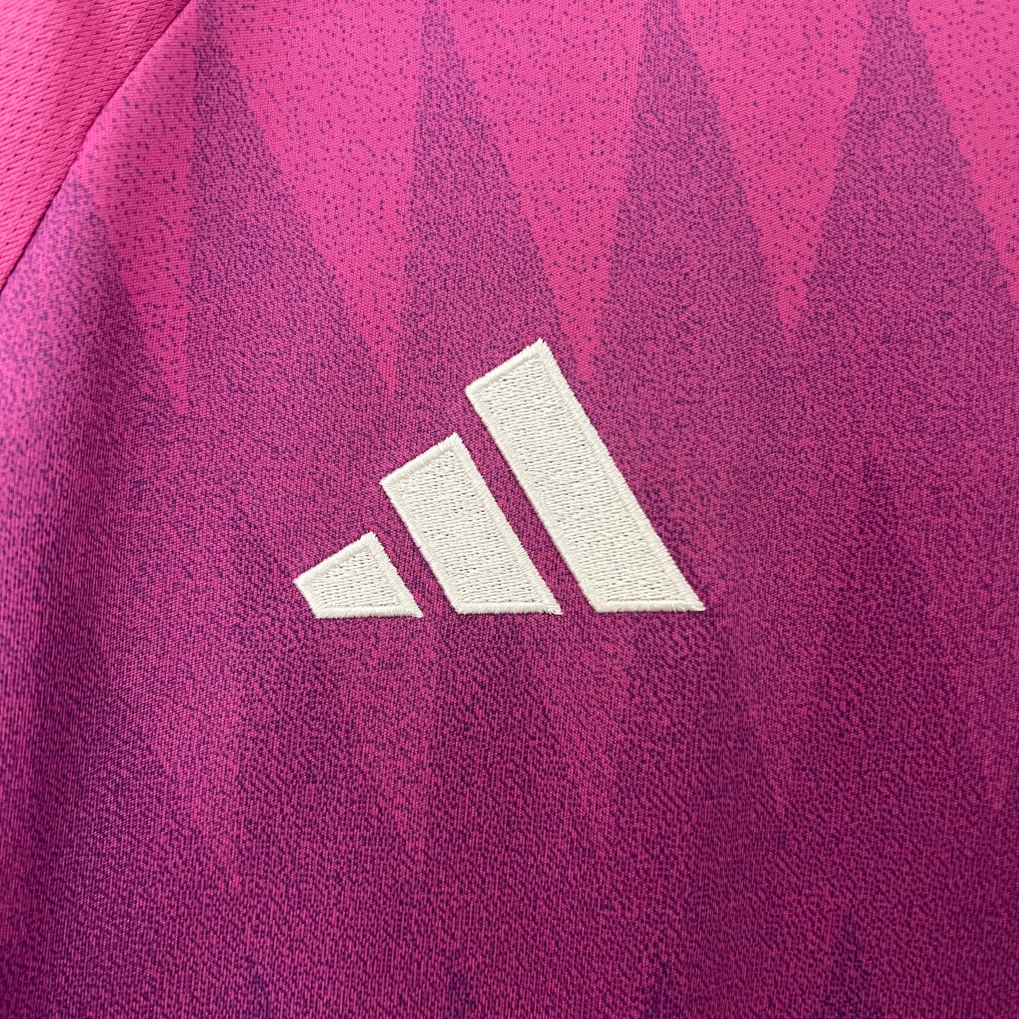 Germany away 2024