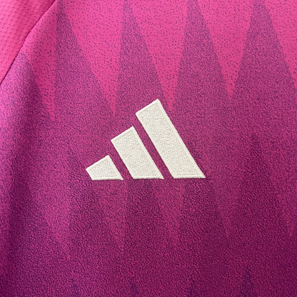 Germany away 2024