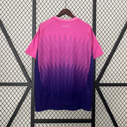 Germany away 2024