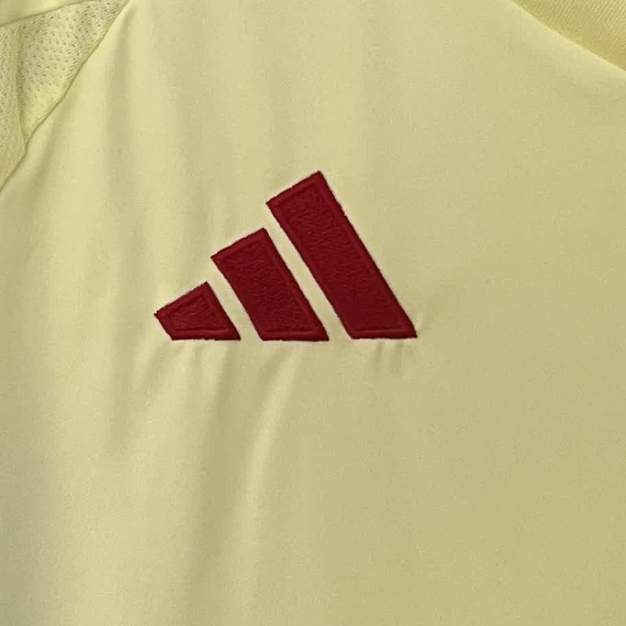 Spain away 2024