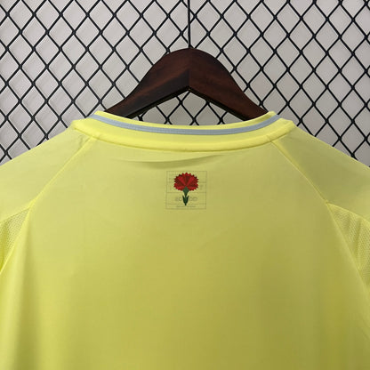 Spain away 2024