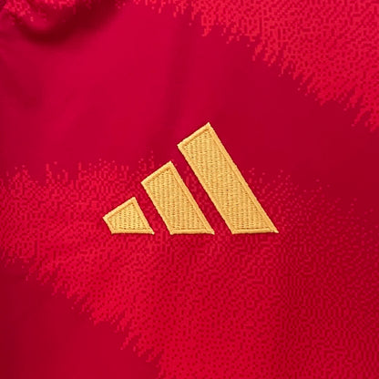 Spain home 2024