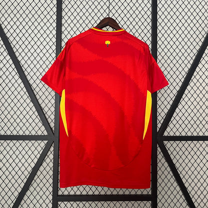 Spain home 2024