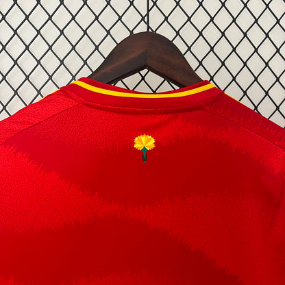 Spain home 2024