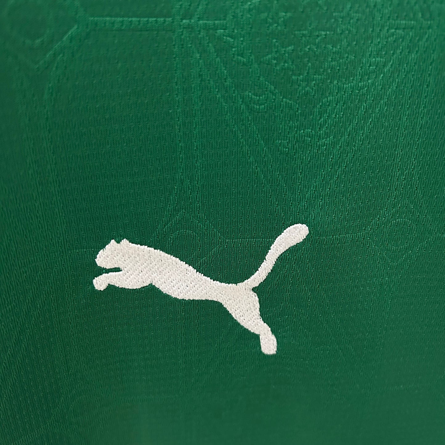 Palmeiras home 2025-2026