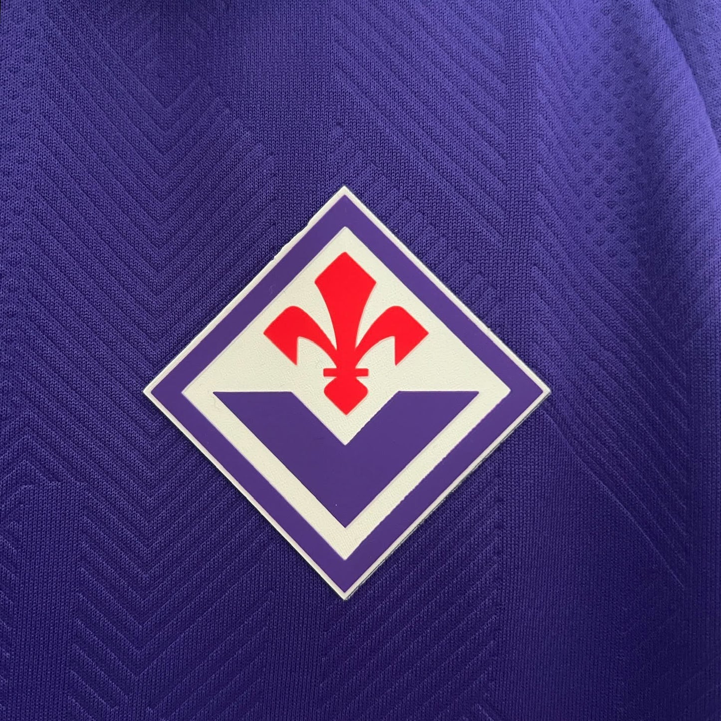 Fiorentina 2024-2025
