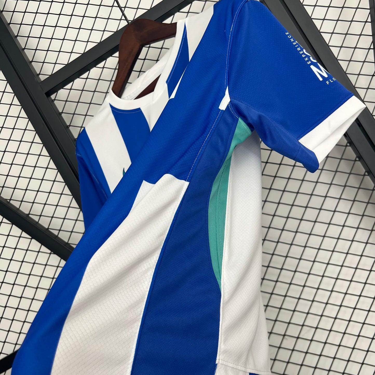 Brighton & Hove Albion Football Club home 2025-2026